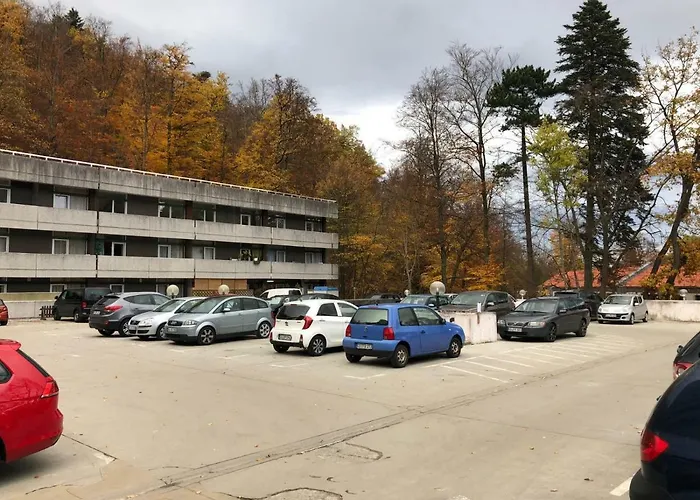 International 公寓 *